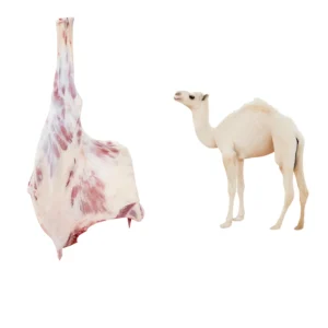 ربع حاشي لباني