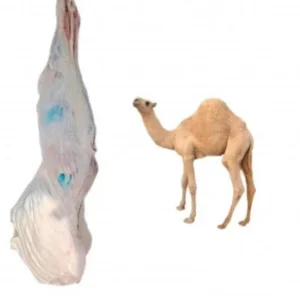 نص حاشي لباني